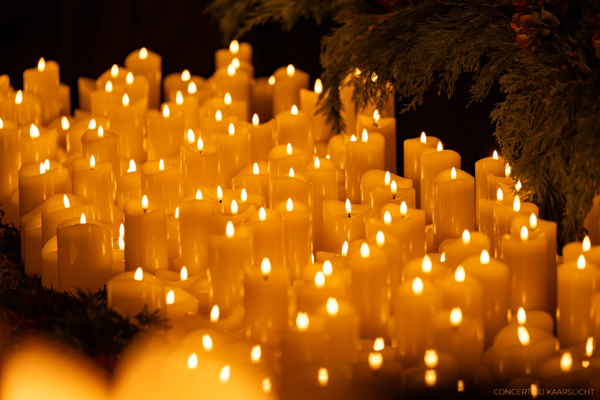 Zoals u ziet, onze kaarsen zijn niet van echt te onderscheiden!